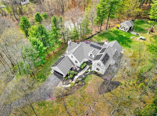 bird's eye view