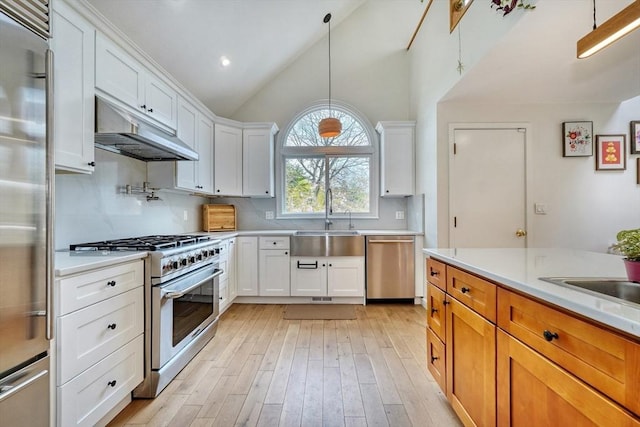 kitchen with high end appliances, a sink, light countertops, light wood-style floors, and under cabinet range hood