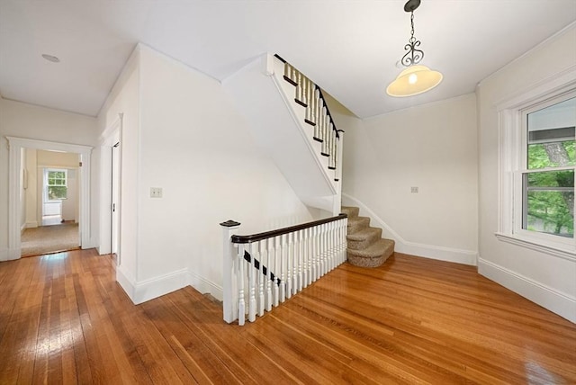 179 Rawson Unit 2, Brookline, MA 02445 - staircase with hardwood / wood-style flooring, healthy amount of natural light, and baseboards