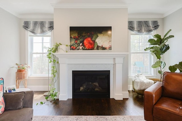 living area featuring crown molding, baseboards, a glass covered fireplace, and wood finished floors