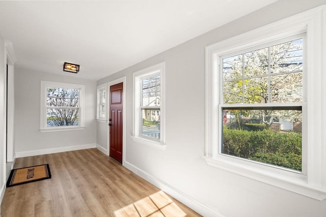 foyer with a healthy amount of sunlight, baseboards, and light wood-type flooring