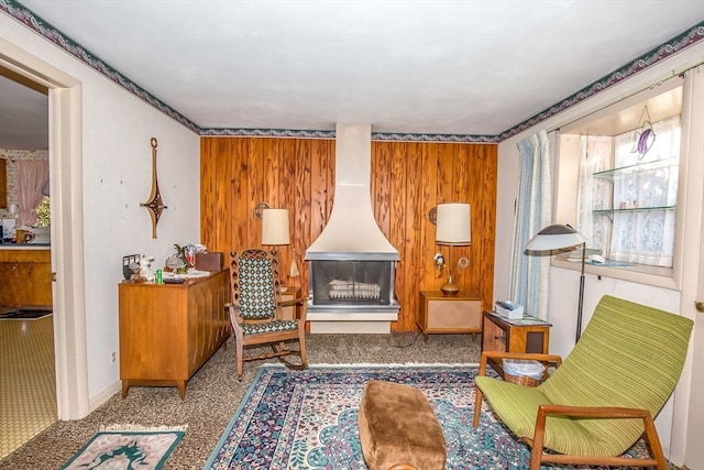 living area with wooden walls