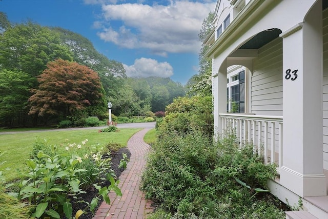 83 High Ridge Rd, Boxford, MA 01921 - view of green lawn
