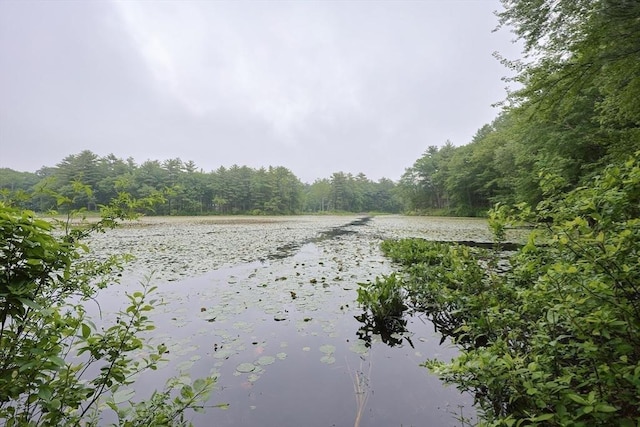 83 High Ridge Rd, Boxford, MA 01921 - water view with a heavily wooded area
