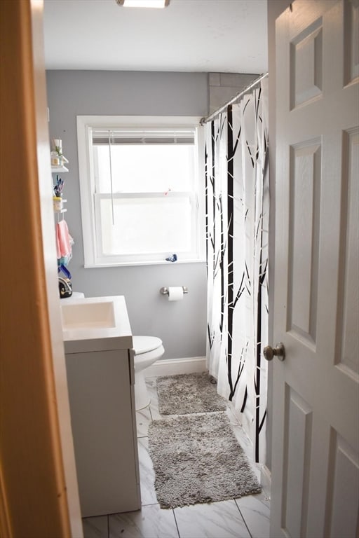 bathroom featuring toilet, vanity, and curtained shower