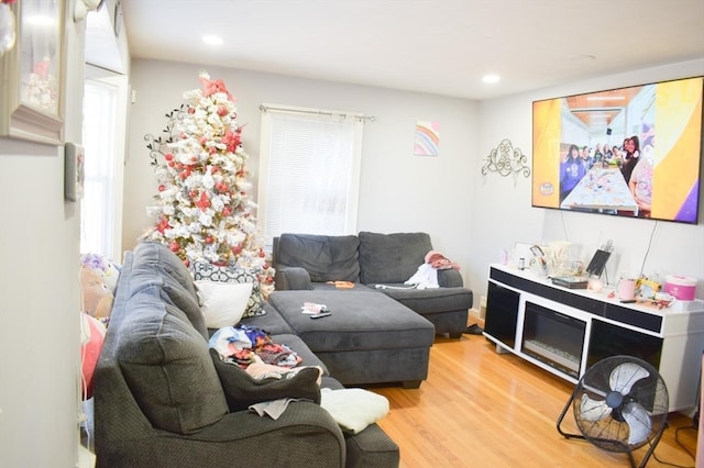 living room featuring hardwood / wood-style flooring