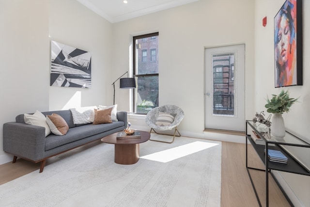 living room featuring light hardwood / wood-style flooring