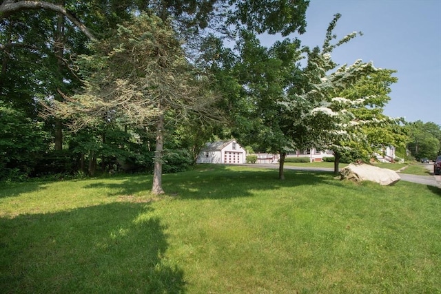 18 Morton St, Brockton, MA 02301 - view of green lawn with an outdoor structure