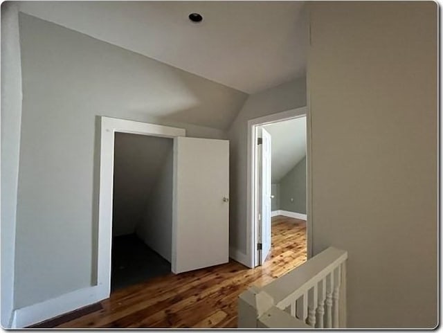 corridor featuring dark wood-type flooring and vaulted ceiling