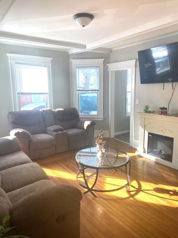 living area with light wood-style floors, baseboards, and a glass covered fireplace