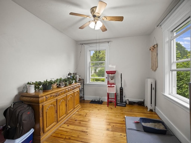 4 Darling St, Worcester, MA 01605 - misc room with radiator, plenty of natural light, light wood-type flooring, and a ceiling fan