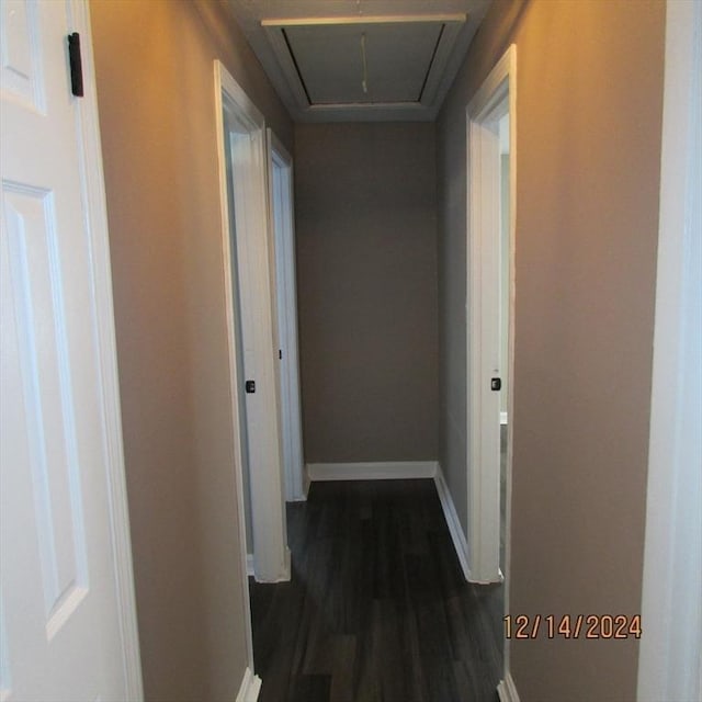 hall with dark hardwood / wood-style floors