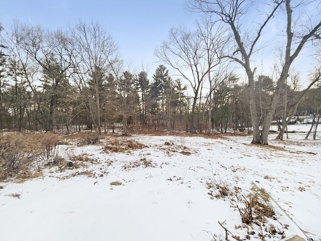 view of yard covered in snow