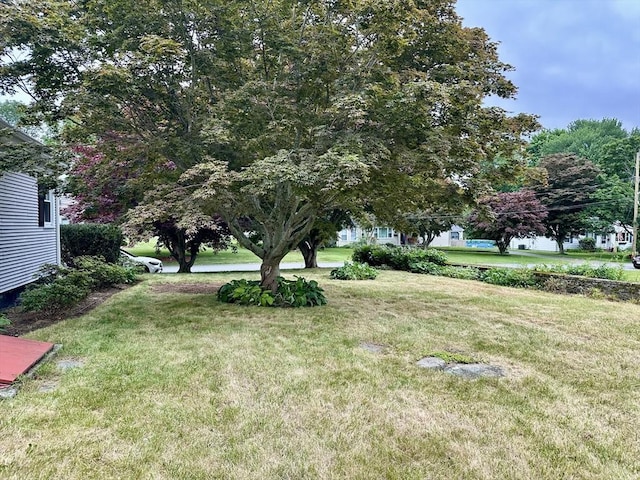 15 Evans, Somerset, MA 02726 - view of grassy yard