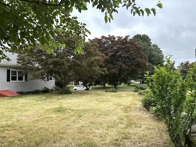15 Evans, Somerset, MA 02726 - view of grassy yard