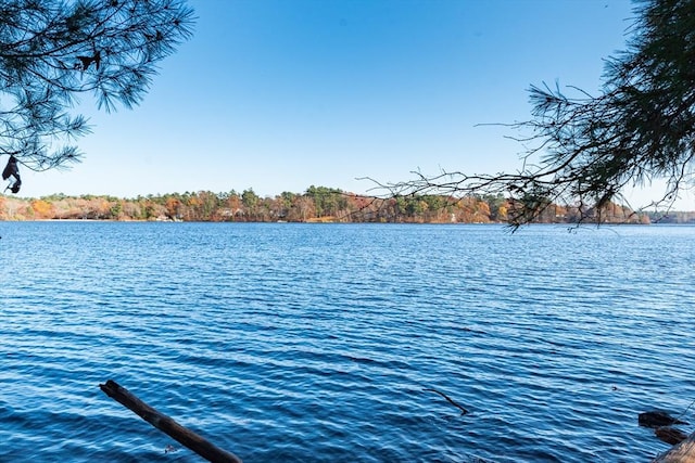 water view