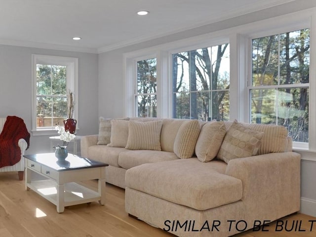 10 Webber Ave Unit 1A, Bedford, MA 01730 - living area featuring ornamental molding, plenty of natural light, light wood-style flooring, and recessed lighting