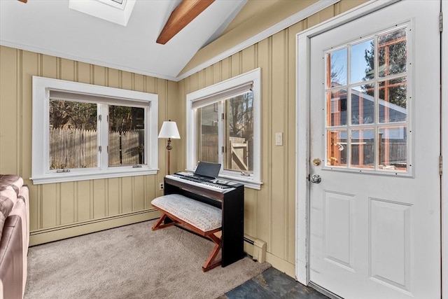 miscellaneous room featuring carpet, a baseboard heating unit, and vaulted ceiling with skylight