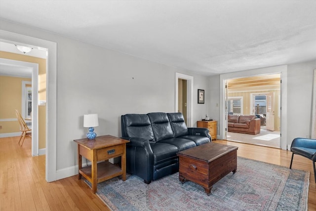 living room featuring wood-type flooring