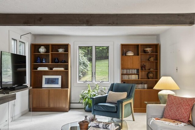 424 Sudbury St, Marlborough, MA 01752 - living area with beam ceiling and light colored carpet