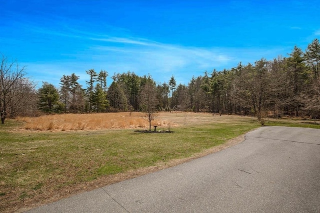 331 Townsend Rd, Groton, MA 01450 - view of asphalt road with a view of trees