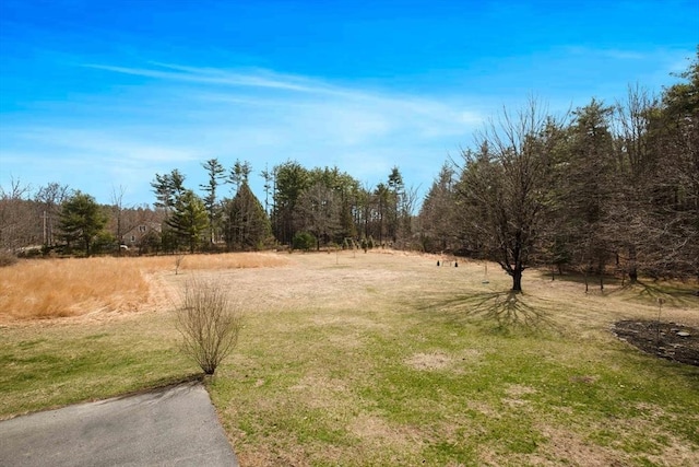 331 Townsend Rd, Groton, MA 01450 - view of yard