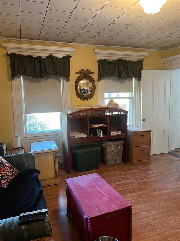 living room featuring ornamental molding and hardwood / wood-style floors