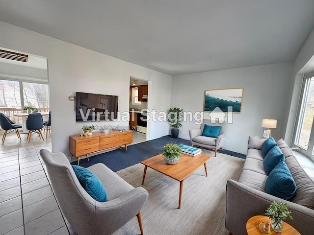 living area featuring a wealth of natural light