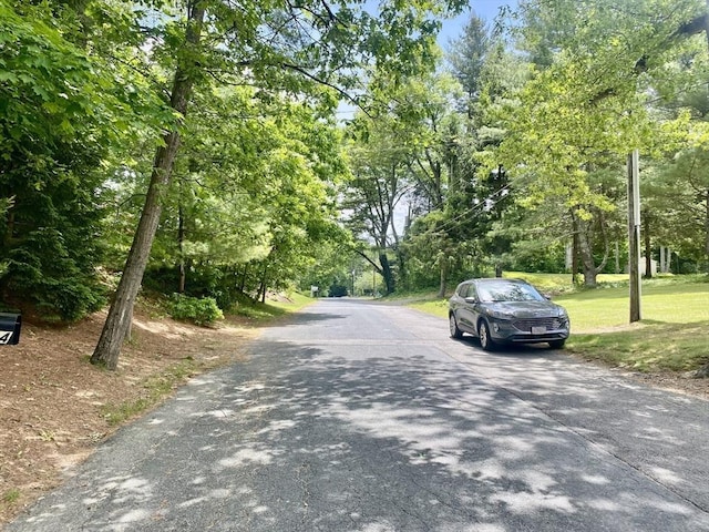 15 Shufelt Rd, Walpole, MA 02071 - view of asphalt road with view of scattered trees