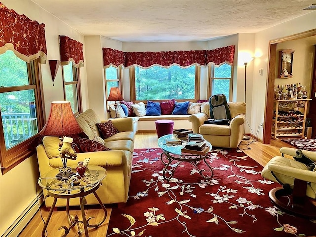15 Shufelt Rd, Walpole, MA 02071 - living room with wood finished floors, a baseboard radiator, and a textured ceiling