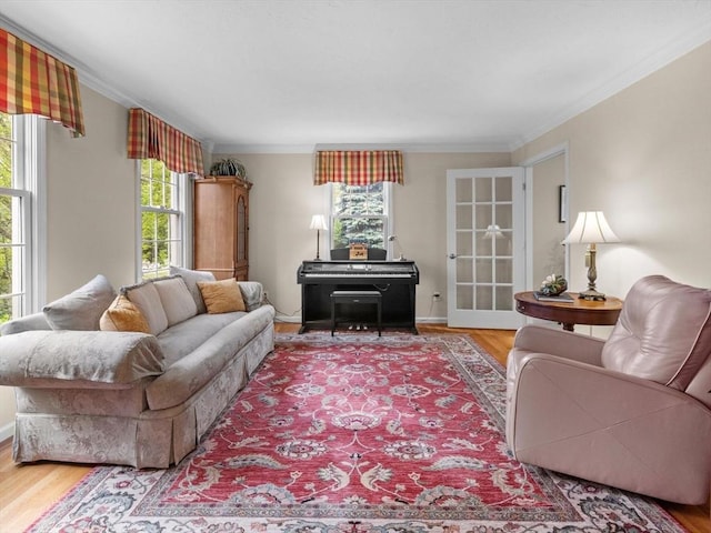 1 Benjamin Dr, Westborough, MA 01581 - living room with wood finished floors, ornamental molding, and baseboards