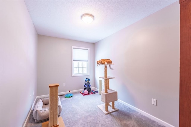 workout area with carpet flooring, a textured ceiling, and baseboards