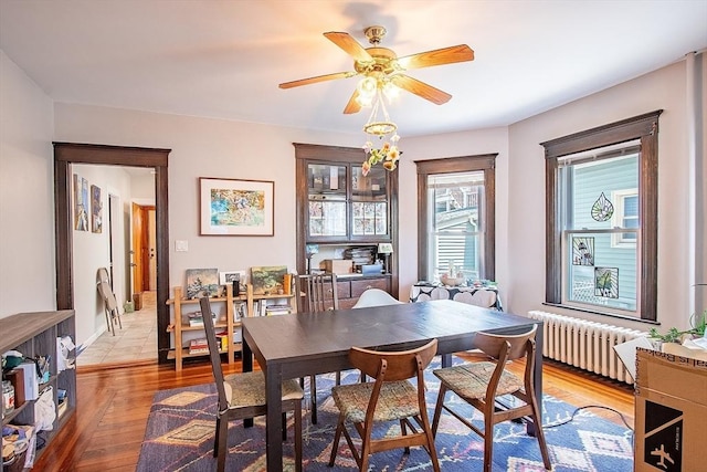 49-51 Fairmount Ave, Somerville, MA 02144 - dining room with radiator, a ceiling fan, and wood finished floors