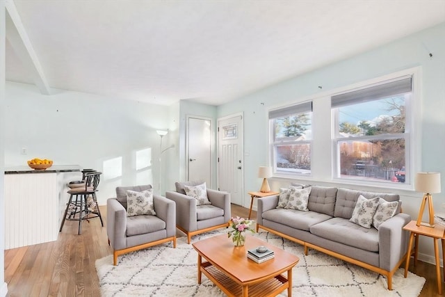 living room with light wood-type flooring