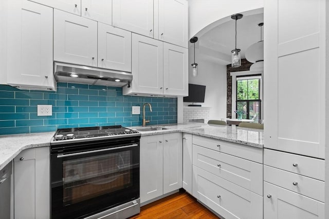 26 Concord Sq Unit 2, Boston, MA 02118 - kitchen featuring appliances with stainless steel finishes, under cabinet range hood, a sink, wood finished floors, and backsplash