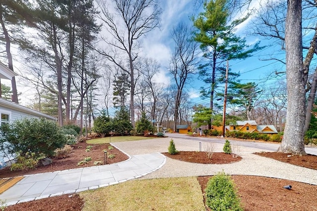 surrounding community with curved driveway