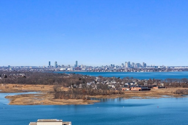 view of water feature with a city view