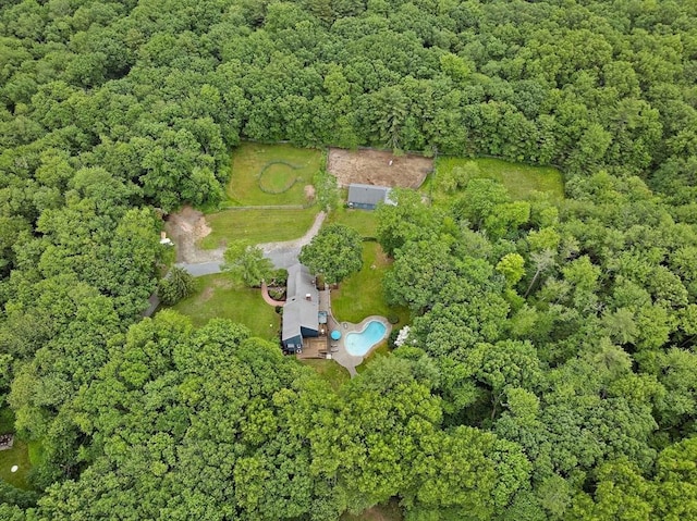 28-R Pammys Path, Easton, MA 02356 - aerial view of property's location featuring a forest