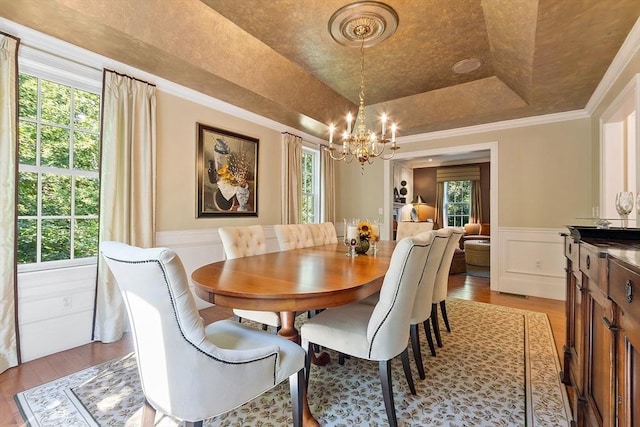 dining area featuring a tray ceiling, wood finished floors, wainscoting, and ornamental molding