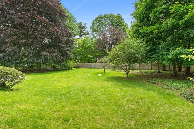 120 Court St, Dedham, MA 02026 - view of yard