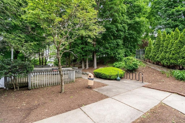99 Chestnut Hill Ave Unit 212, Boston, MA 02135 - view of yard