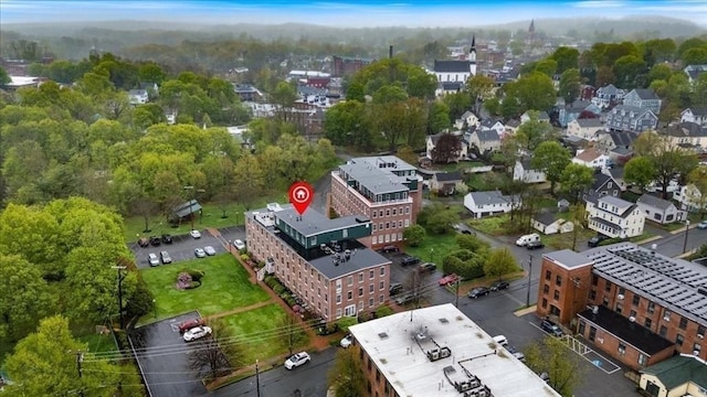 drone / aerial view