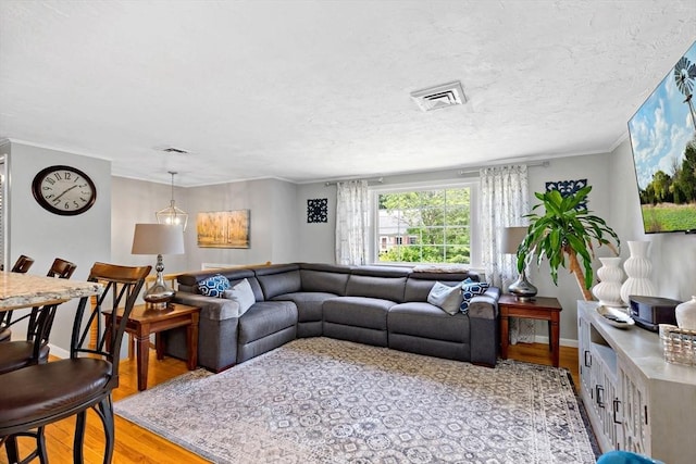 4 Jester Way, Plymouth, MA 02360 - living area featuring light wood finished floors, ornamental molding, and a textured ceiling