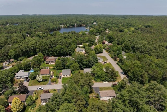 4 Jester Way, Plymouth, MA 02360 - aerial overview of property's location with a heavily wooded area and a nearby body of water