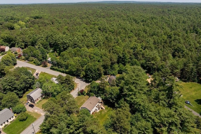 4 Jester Way, Plymouth, MA 02360 - view of property location with a forest