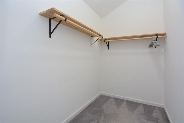 walk in closet featuring carpet floors