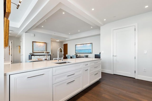 kitchen featuring a sink, dark wood-type flooring, white cabinetry, light countertops, and a raised ceiling