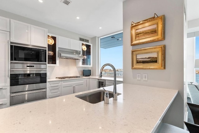 kitchen featuring stainless steel appliances, under cabinet range hood, a warming drawer, a sink, and light stone countertops