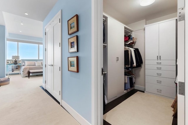 spacious closet featuring carpet floors