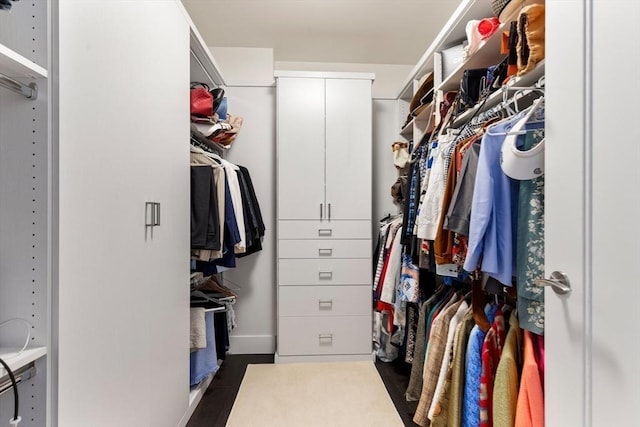 view of spacious closet